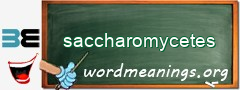 WordMeaning blackboard for saccharomycetes